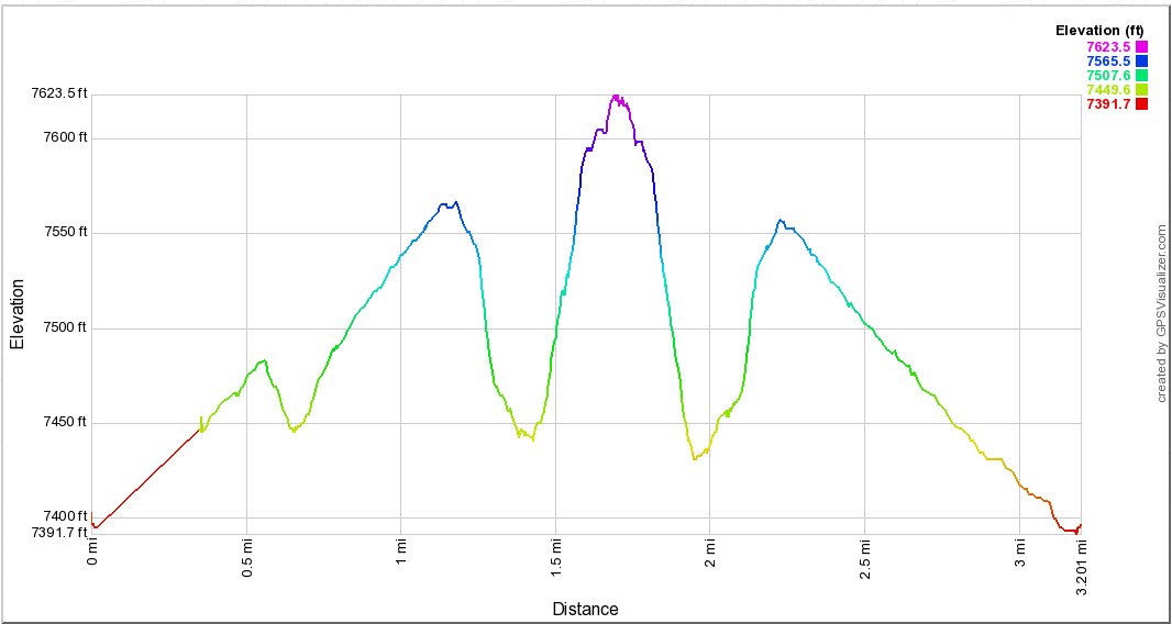 Echo Lake Snowshoe Hike